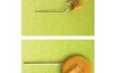 0ZRC0075FF1E Resettable Fuses - PPTC