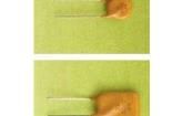 0ZRE0012FF2C Resettable Fuses - PPTC