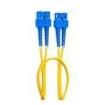 FPSSDSD003M Ethernet Cables / Networking Cables