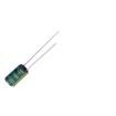 RC016M221LO6.3*11TH-2A1E  Passive Components