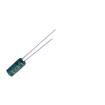 RC025M101LO5*11TH-2A1E  Passive Components