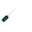RC250M100LO8*14TH-2A1E  Passive Components