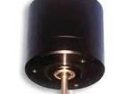 BLDC58-50L DC Motors