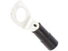 BM004431 Terminals