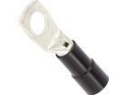 BM007491 Terminals