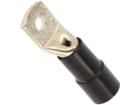 BM008311 Terminals