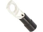BM008551 Terminals