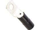BM051554 Terminals