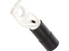 BM052491 Terminals