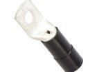 BM052554 Terminals