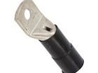 BM053494 Terminals