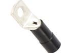 BM053551 Terminals