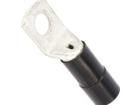 BM053611 Terminals