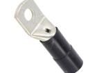 BM05455 Terminals