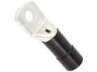 BM05661 Terminals
