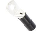 BM05667 Terminals