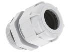 BM4321  Wire & Cable