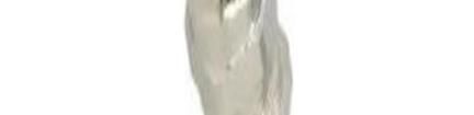 2512 Cable Glands, Strain Reliefs & Cord Grips