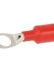 BM00547 Terminals