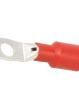 BM00852 Terminals