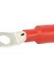 BM00856 Terminals