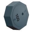 SRU1028-1R0Y Fixed Inductors