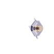 TSA053G25-250T Tactile Switches