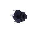 TSW101G130-250 Tactile Switches