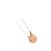 BK250-040-DY Resettable Fuses - PPTC