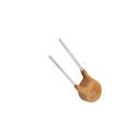 BK250-060-DZ Resettable Fuses - PPTC