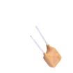 BK250-110-SY-E0.6 Resettable Fuses - PPTC