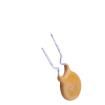 BK60-040-DZ-E0.5 Resettable Fuses - PPTC