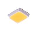 BXEN-30E-13H-99-00-0-0  Optoelectronics