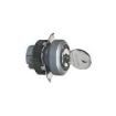 1.30.245.002/0000 Industrial Panel Mount Indicators / Switch Indicators