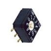 CD10RL1SK Coded Rotary Switches