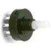 R10807RN02Q Rotary Switches