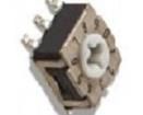 RTE1000G13 Coded Rotary Switches