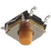 Y31C42441FPLFS  Electromechanical