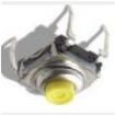 Y33A41215FP LFT  Electromechanical