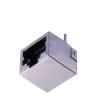 R-RJ45R08P-B000  Connectors