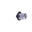 HV100M016B055ETR Aluminium Electrolytic Capacitors - SMD