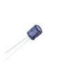 SK101M025E070A  Passive Components