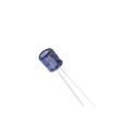 SK101M025E070A Aluminium Electrolytic Capacitors - Radial Leaded