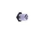 ZV100M016B055ETR Aluminium Electrolytic Capacitors - SMD