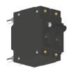CA2-B0-42-450-121-D  Circuit Protection