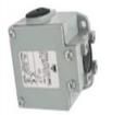 PS43L-NS11R1-M00 Limit Switches