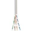 2137113E Multi-Conductor Cables