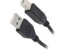 CCP-USB2-AMBM-10 Audio Cables / Video Cables / RCA Cables