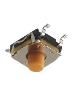 Y31C31441FPLFS  Electromechanical
