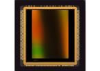 CMV12000-2E5M1PA Image Sensors